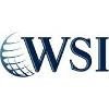 WSI Internet Logo