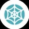 WSpider Logo