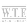 WTE Logo