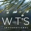 WTS International Logo