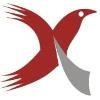 Xpert Group Logo