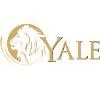 Yale Realty & Capital Advisors Logo