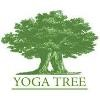 Yoga Tree Logo