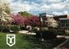 York College of Pennsylvania Logo