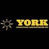 York Labs Logo
