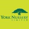 York Nursery Logo