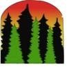 Youth Services Agency Logo
