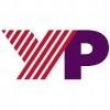 Ypulse Logo
