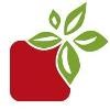 Yummy Market Logo