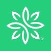 Zija International Logo